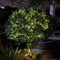 100 Firefly Solar Powered String Lights - lakehomeandleisure.co.uk
