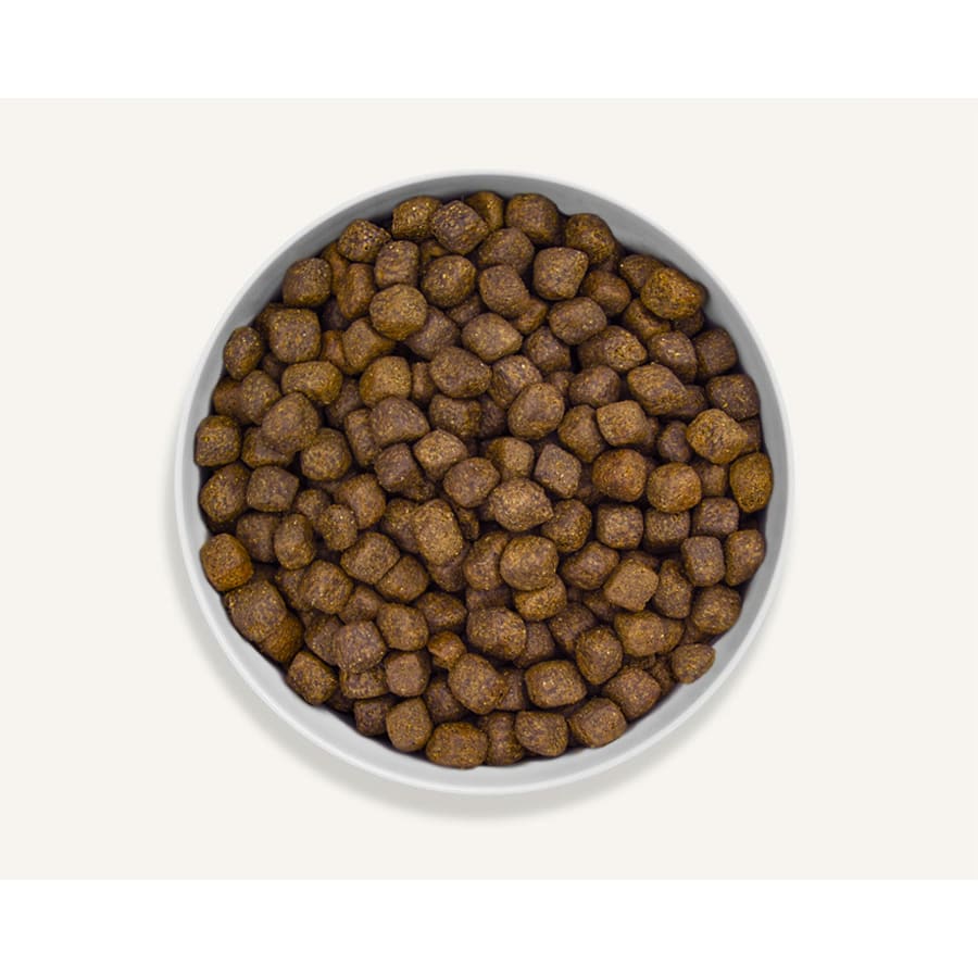 Canagan dry hot sale cat food