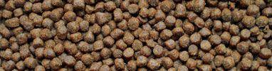 Alpha Sporting Puppy 15kg and 3kg Dry Dog Food - lakehomeandleisure.co.uk