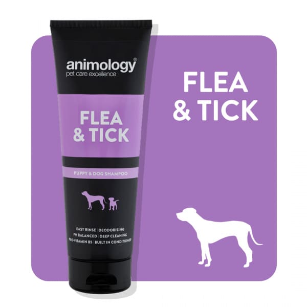 Animology Flea & Tick Dog Shampoo 250ml - lakehomeandleisure.co.uk
