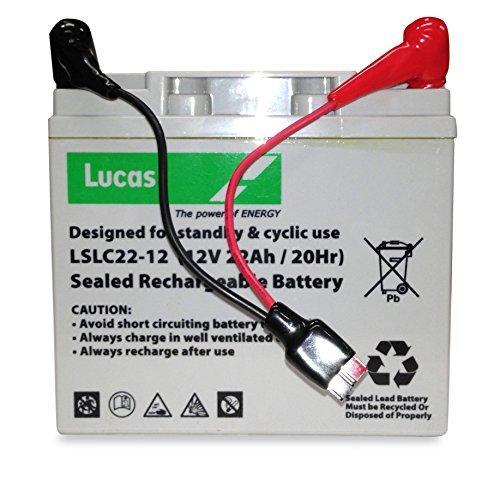 Lucas 22Ah battery with torbrey lead - Torberry - AGM 