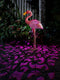 Silhouette Flamingo Solar Garden Light - Solar Garden Light