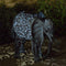 Metal Elephant Solar Light - lakehomeandleisure.co.uk