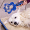 JML Groom Glider 3 in 1 Pet Grooming Brush - lakehomeandleisure.co.uk