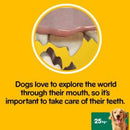 PEDIGREE DentaStix Daily Dental Chews Large Dog 105 Sticks - lakehomeandleisure.co.uk