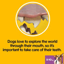 PEDIGREE DentaStix Daily Dental Chews Small Dog 105 Sticks - lakehomeandleisure.co.uk