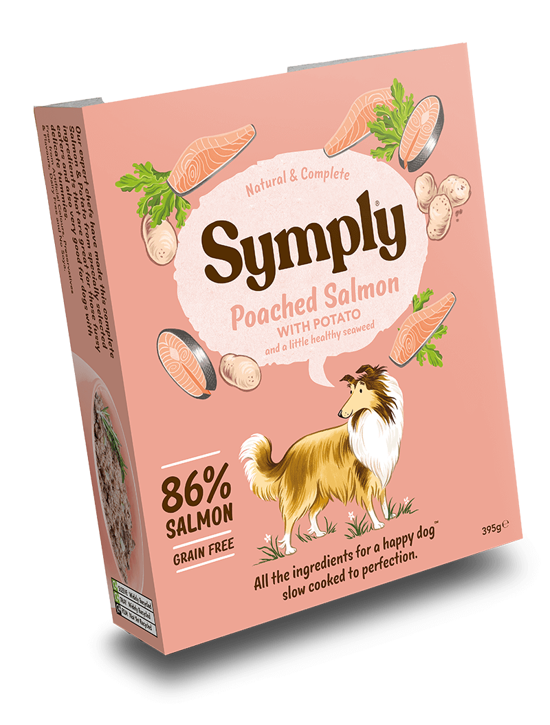 Symply Grain free Poached Salmon 7 x 395g Wet Dog Food Trays